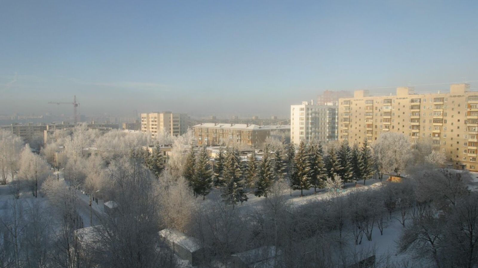 Андрей Старостин