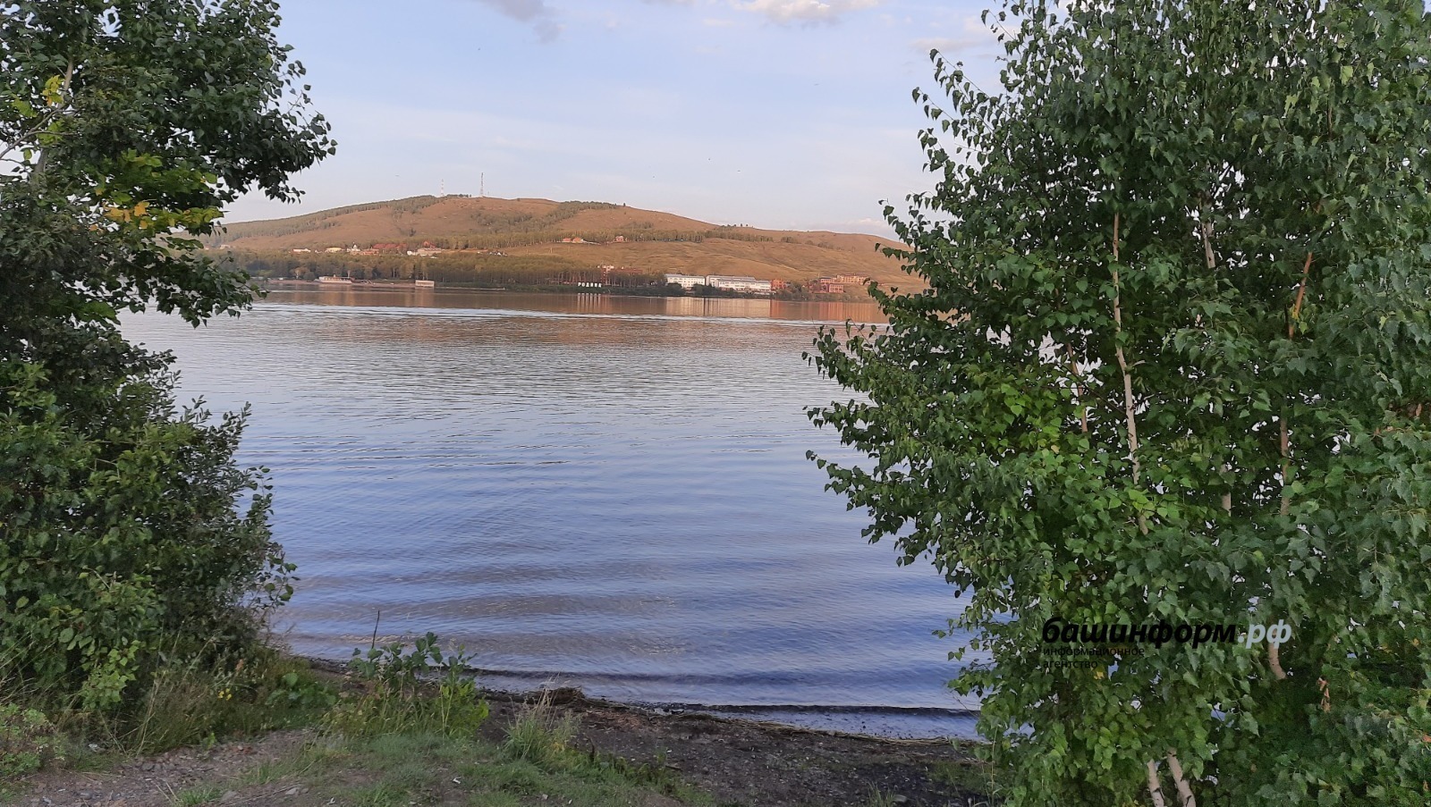 Лейла Аралбаева