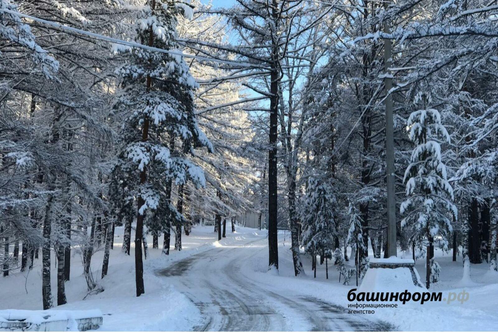 Ксения Калинина