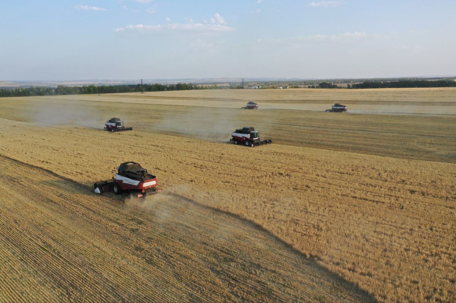 пресс-служба минсельхоз РБ