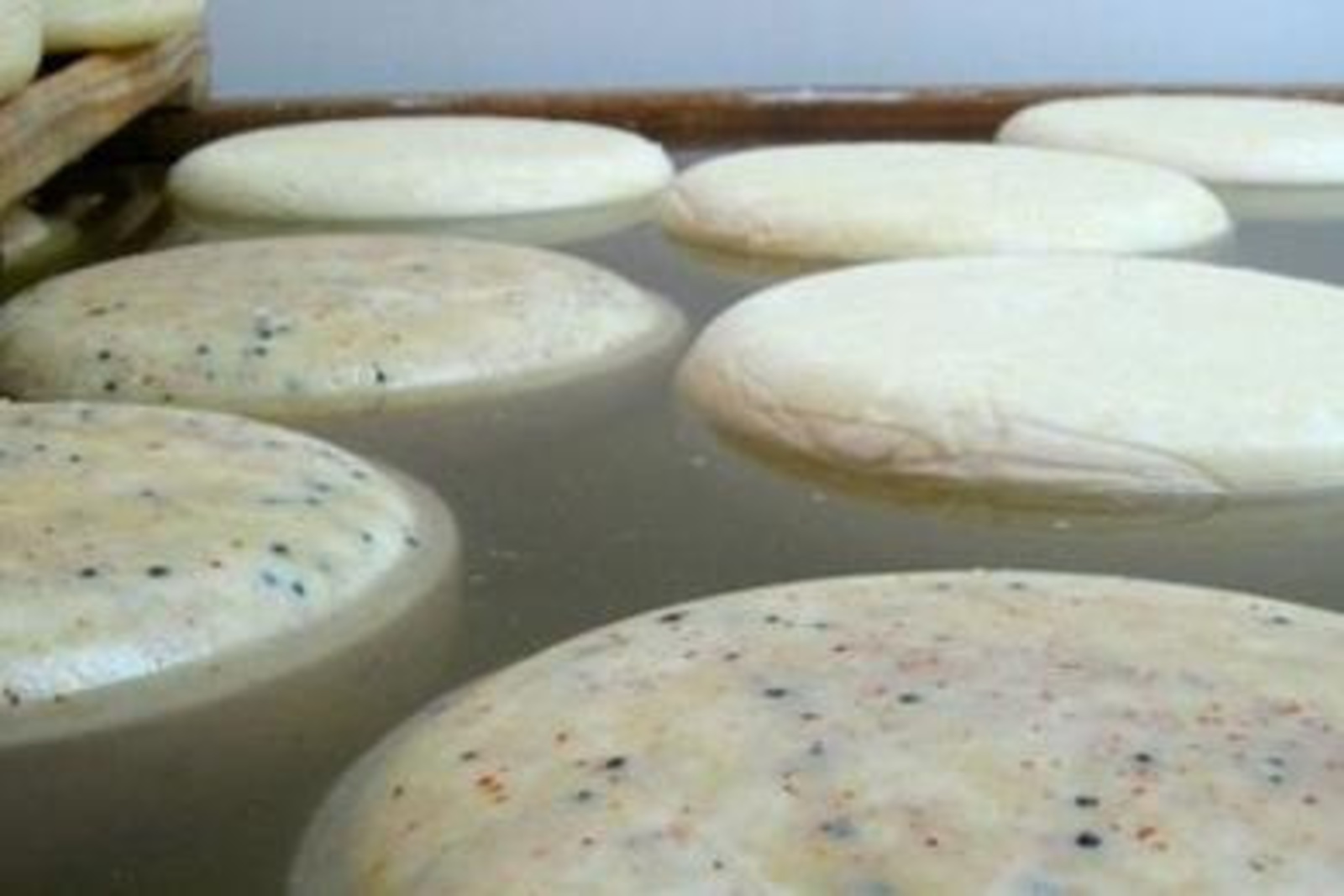 zakvaska-ferment.ru