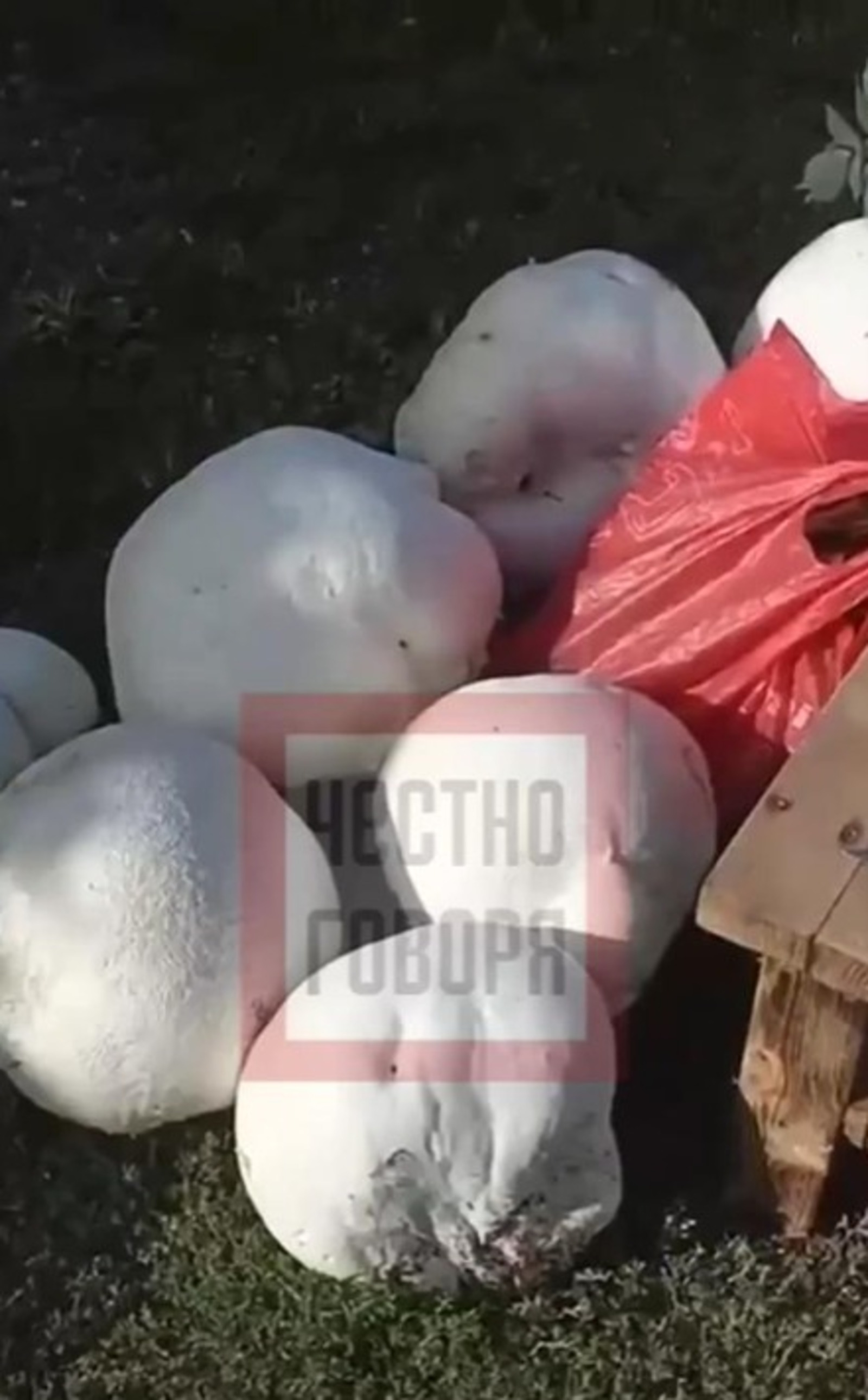 Честно говоря, телеграм-канал