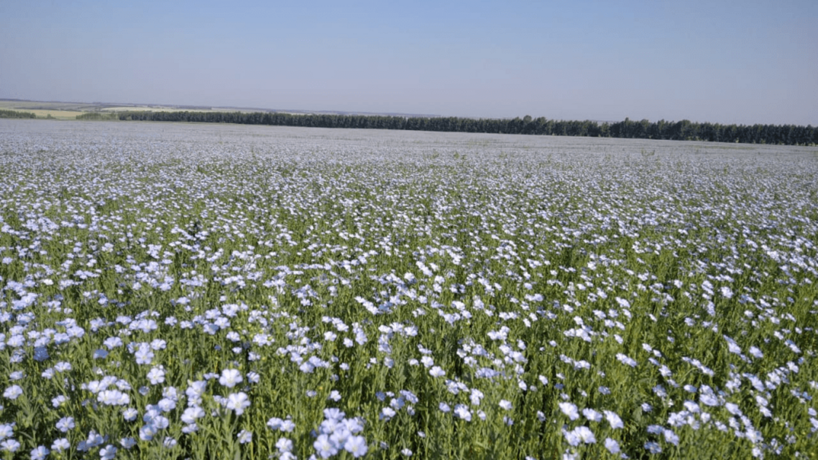 Минсельхоз РБ