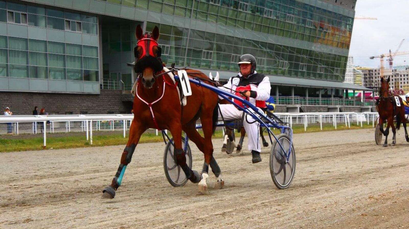 предоставлено ипподром «Акбузат»