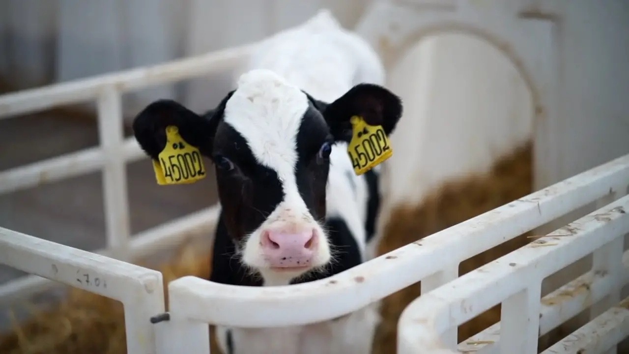 официальный аккаунт Радия Хабирова ВКонтакте