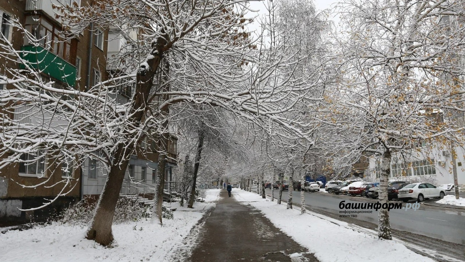 «Башинформ» мәғлүмәт агентлығы архивы