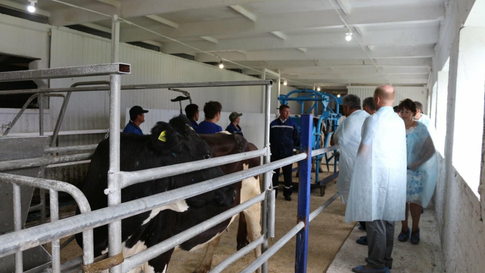 администрация Татышлинского района