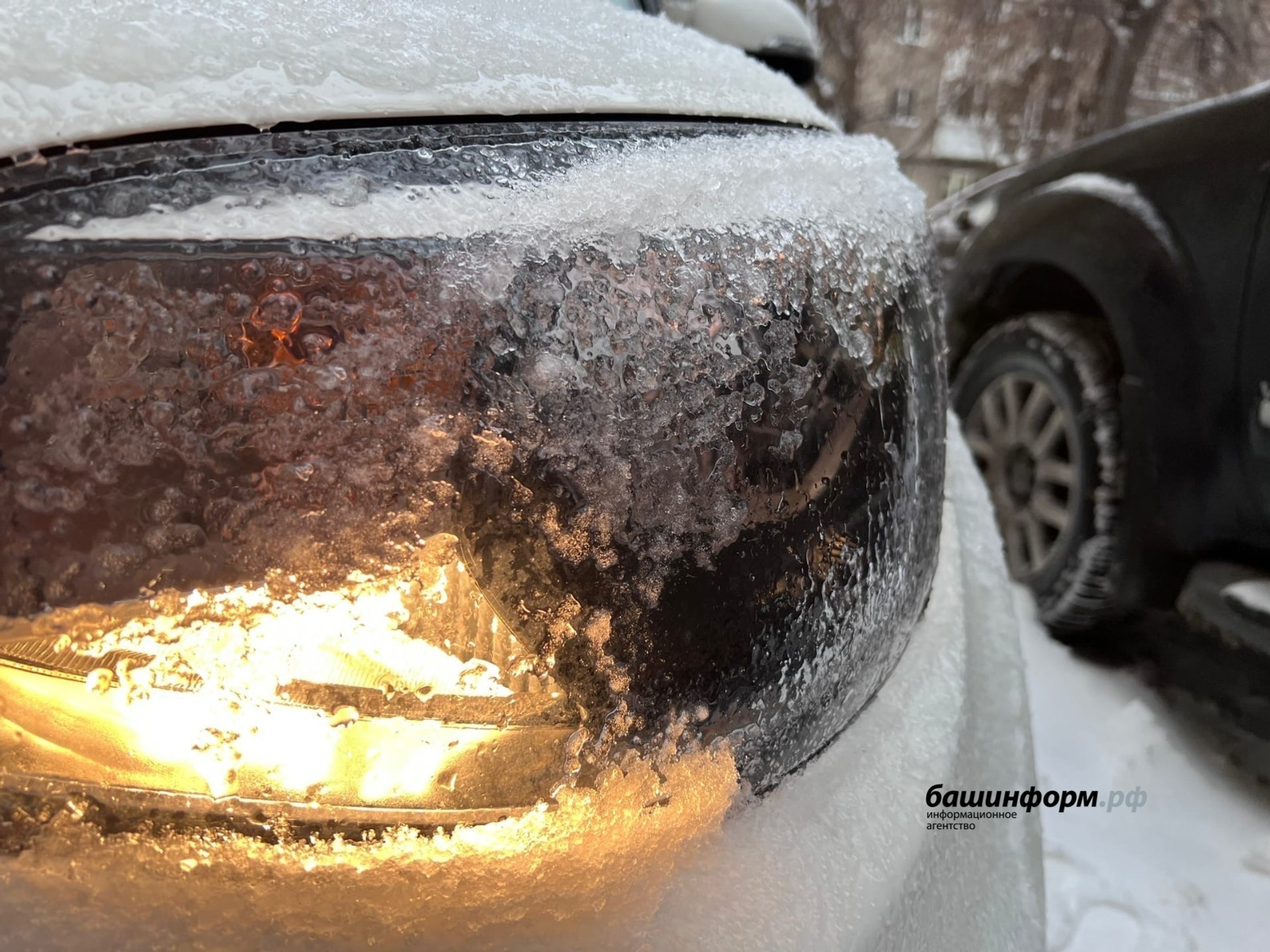 Ксения Калинина