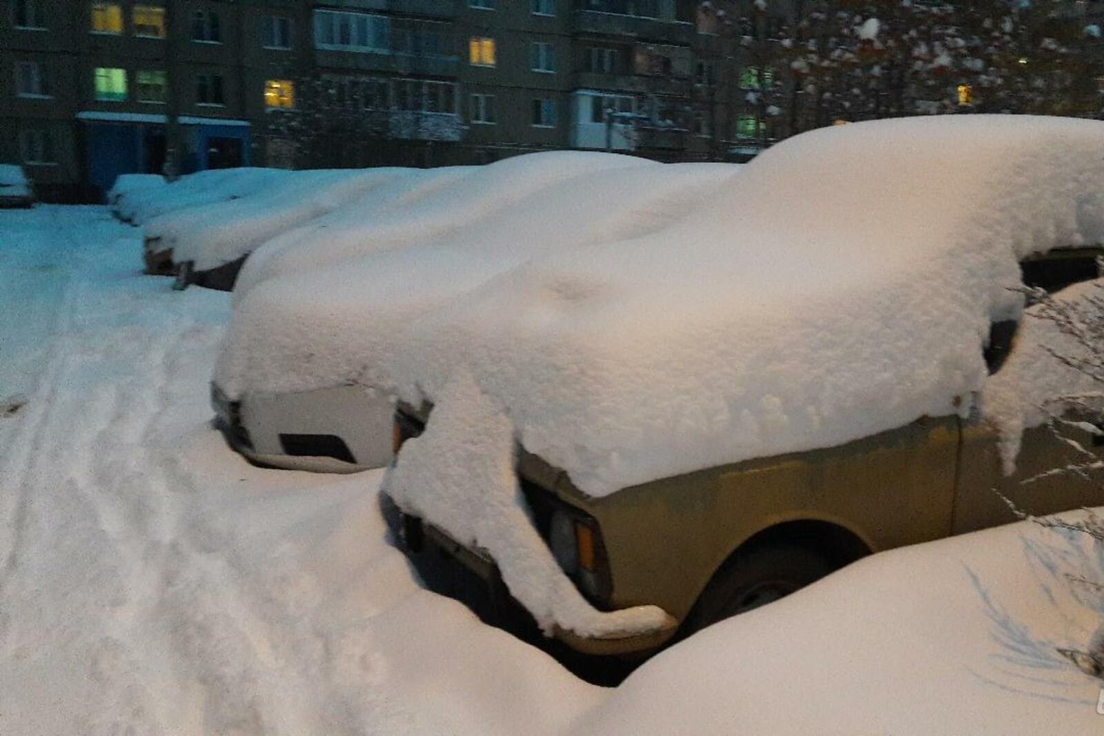 автор
