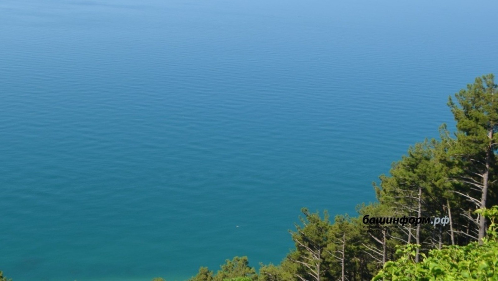 Ксения Калинина / «Башинформ» мәғлүмәт агентлығы