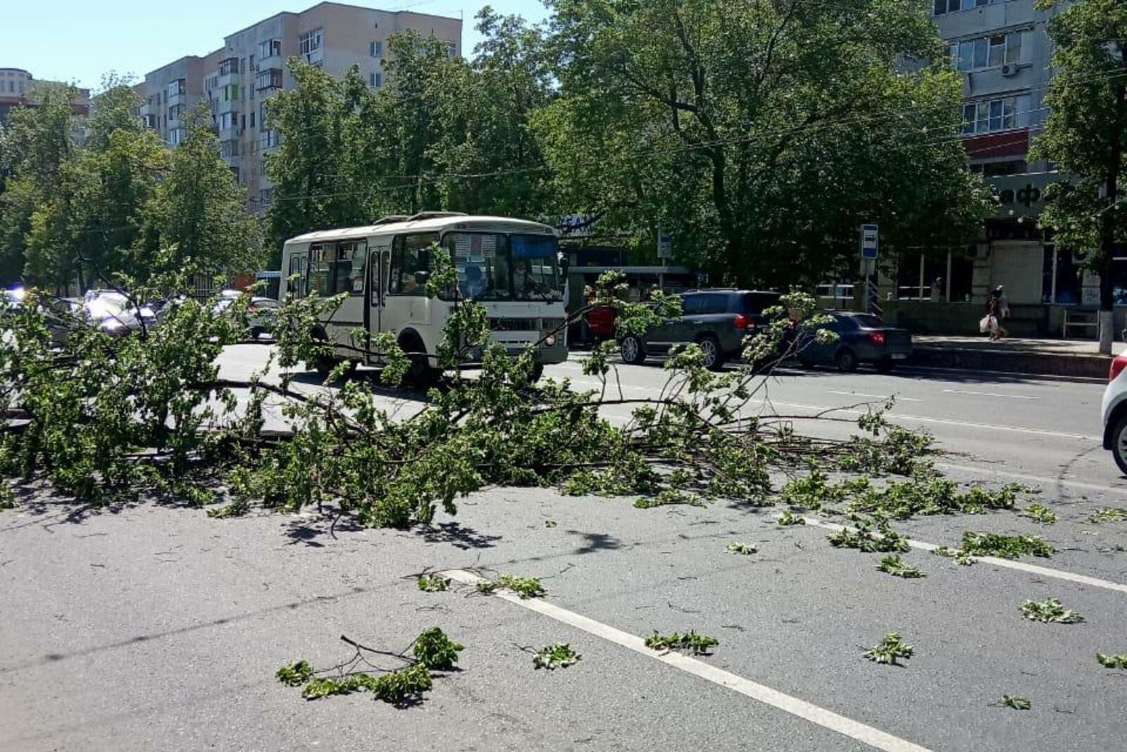 Валерий Шахов