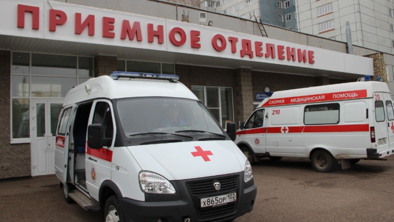 Ксения Калинина