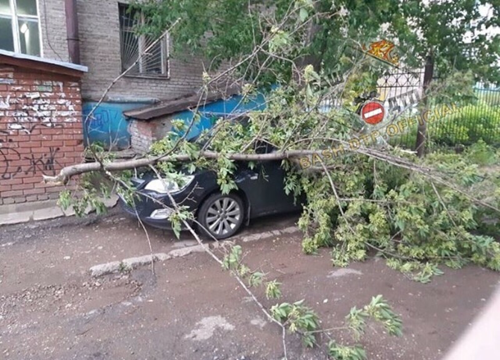 Не повезло десяткам автомобилистов, которые оставили машины вблизи деревьев Фото: bash.dtp.official / Instagram.com