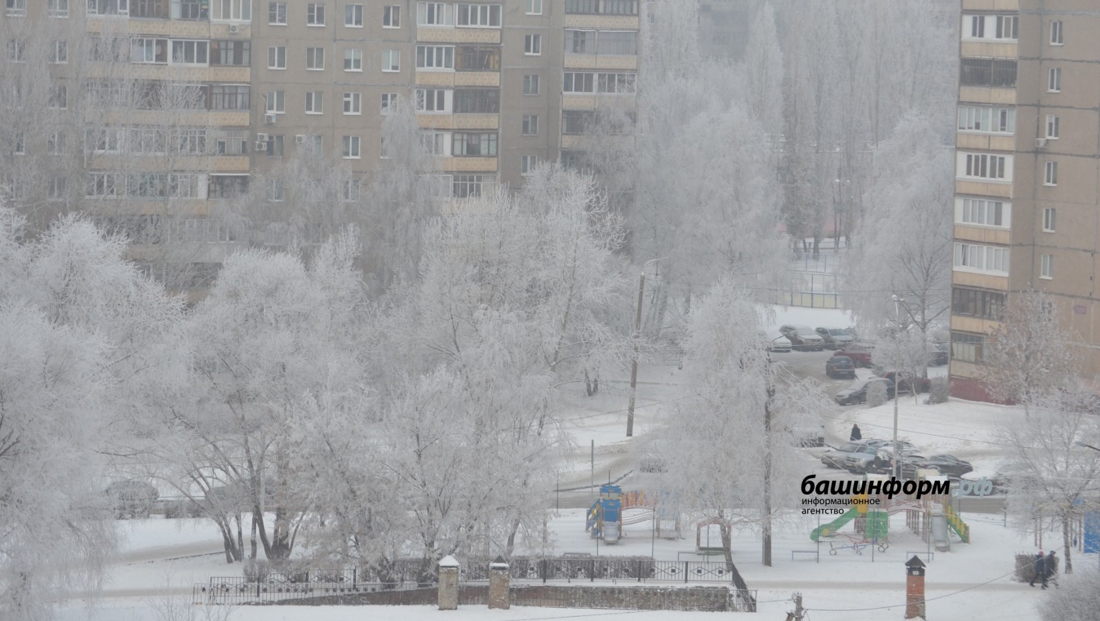 Ксения Калинина / «Башинформ» мәғлүмәт агентлығы