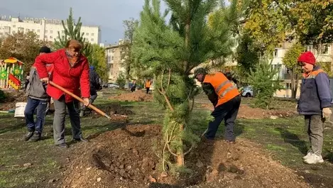 В Башкирии в единый день осенней акции Зеленая Башкирия высадили более 55 тысяч деревьев и кустарников