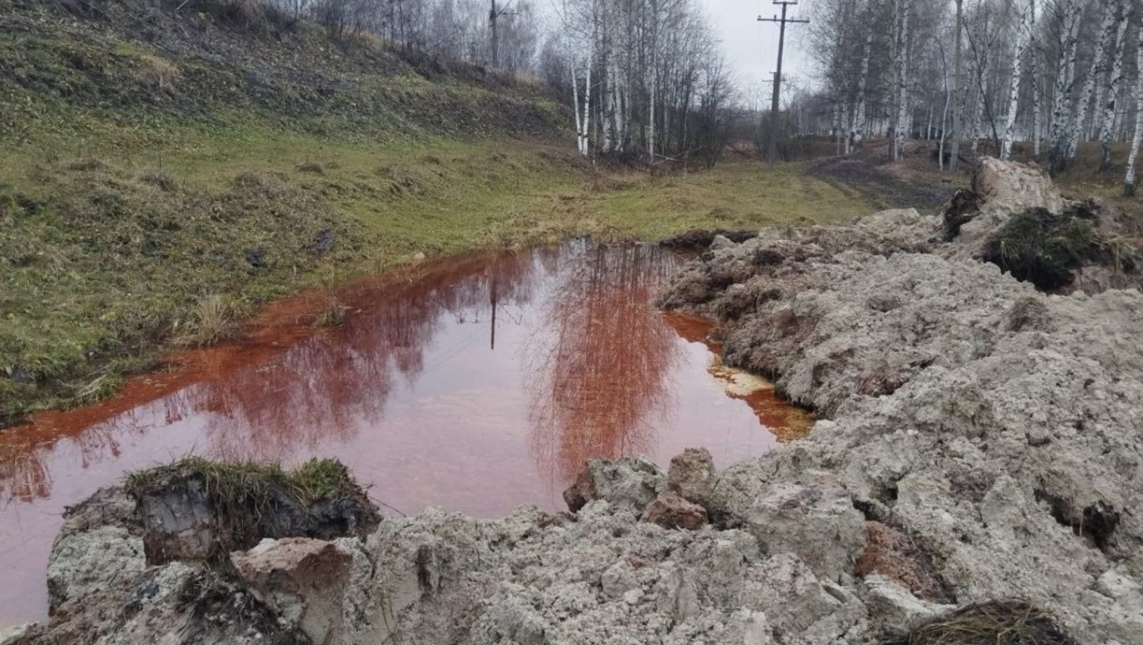 минэкологии Нижегородской области pravda-nn.ru