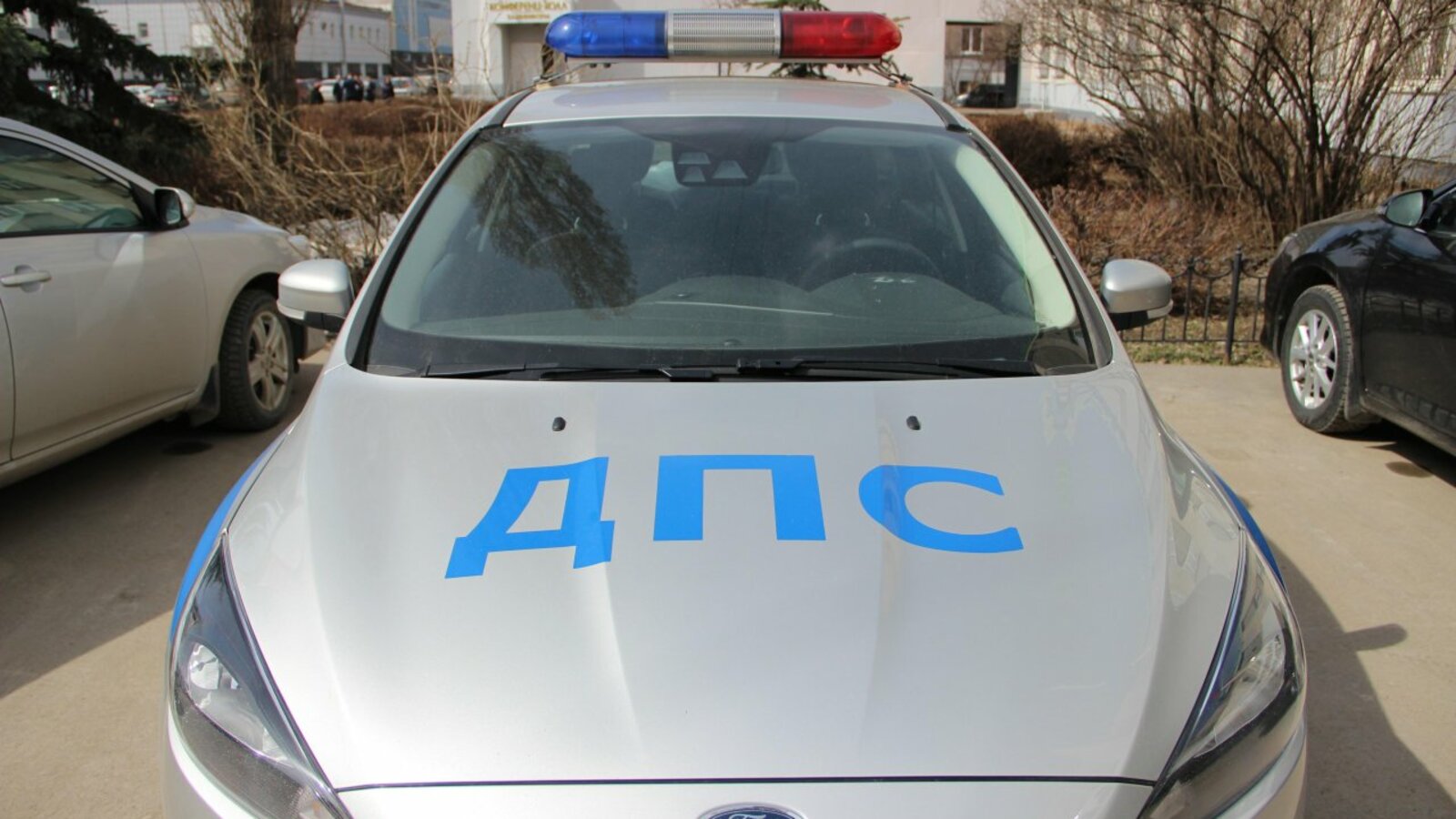 автор