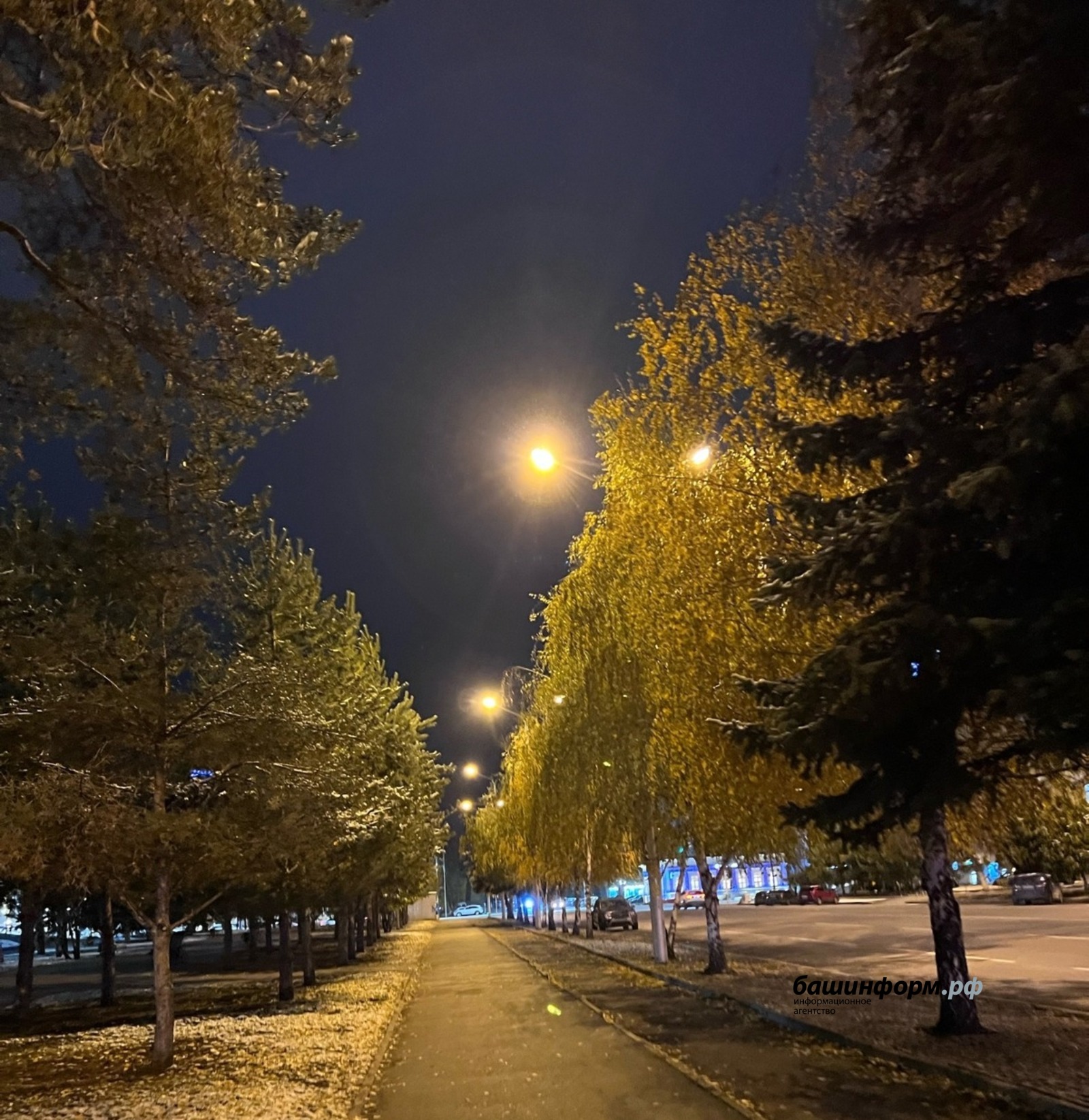 Ксения Калинина