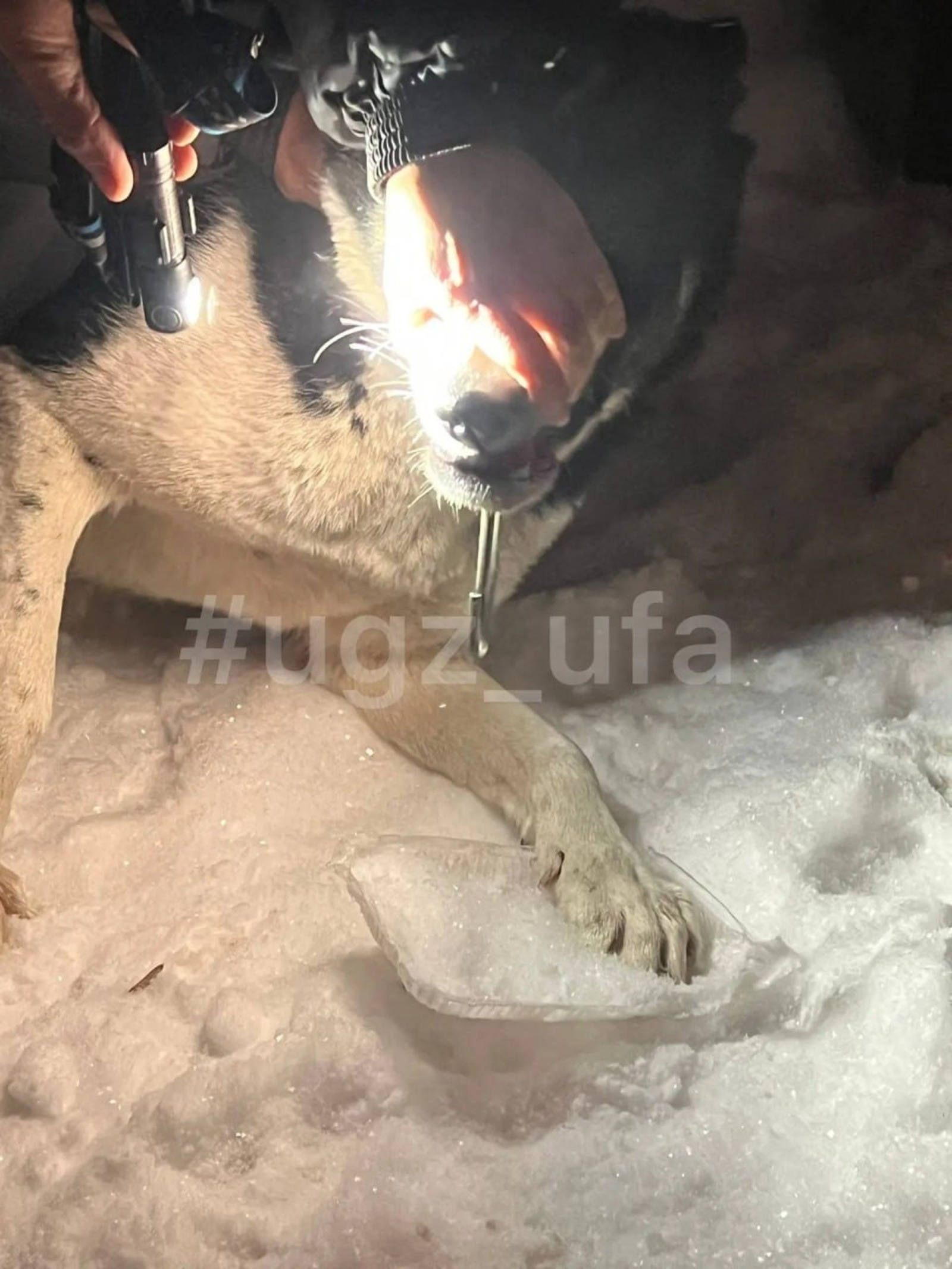 Управление гражданской защиты Уфы ТГ-канал