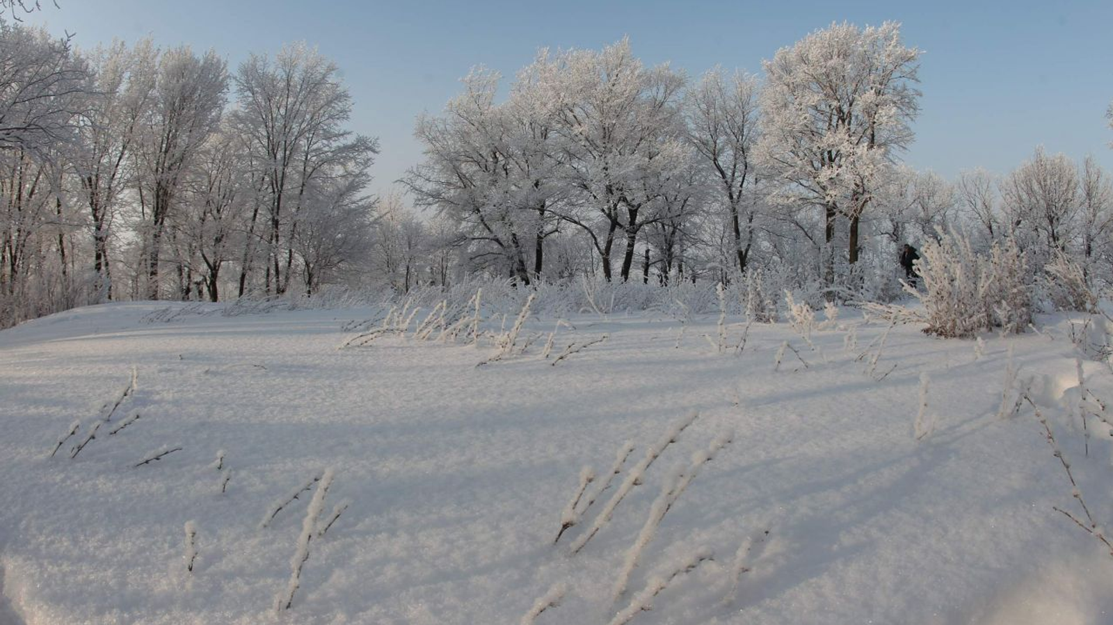 Олег Яровиков