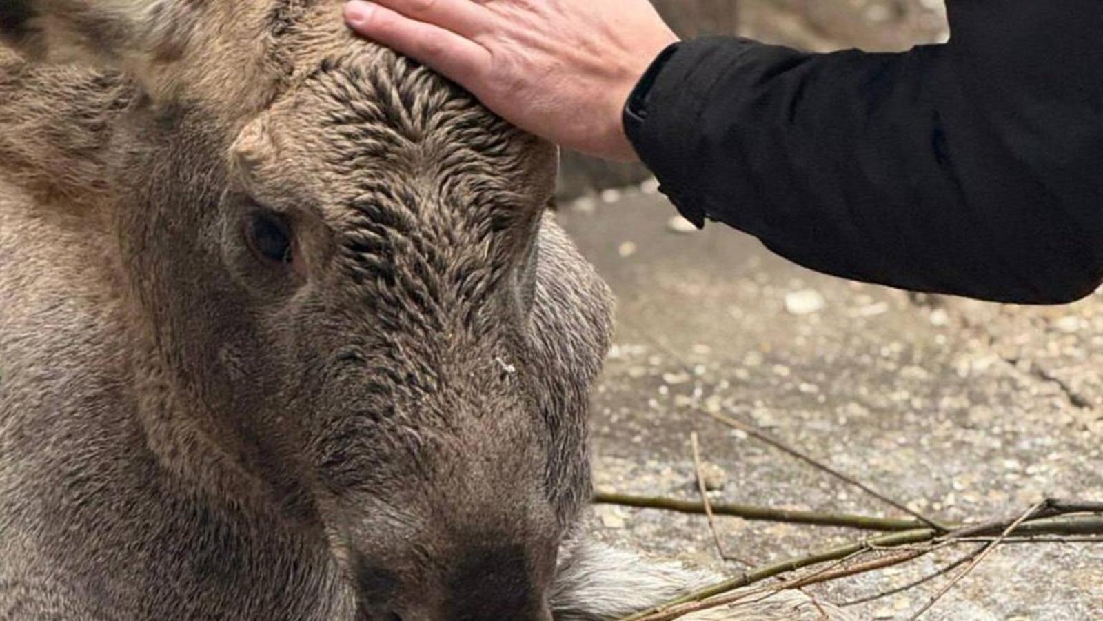 нацпарк «Зюраткуль» Первое областное