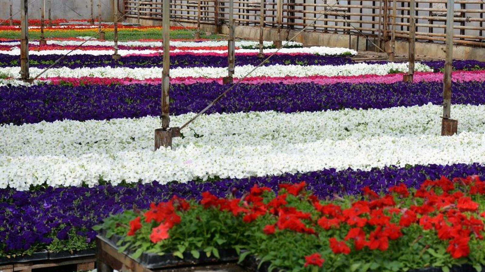 администрация Уфы