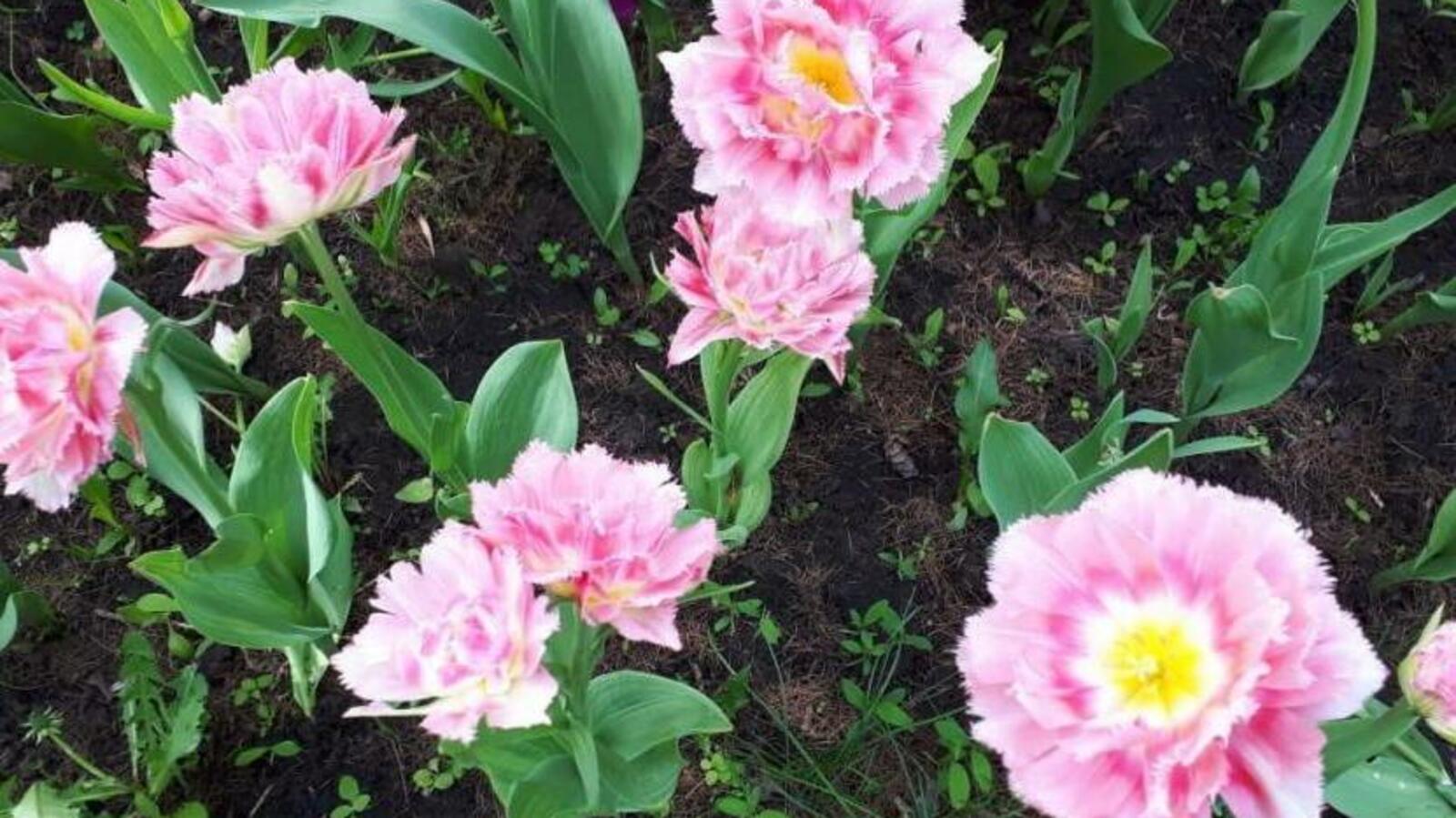 администрация г.Уфа