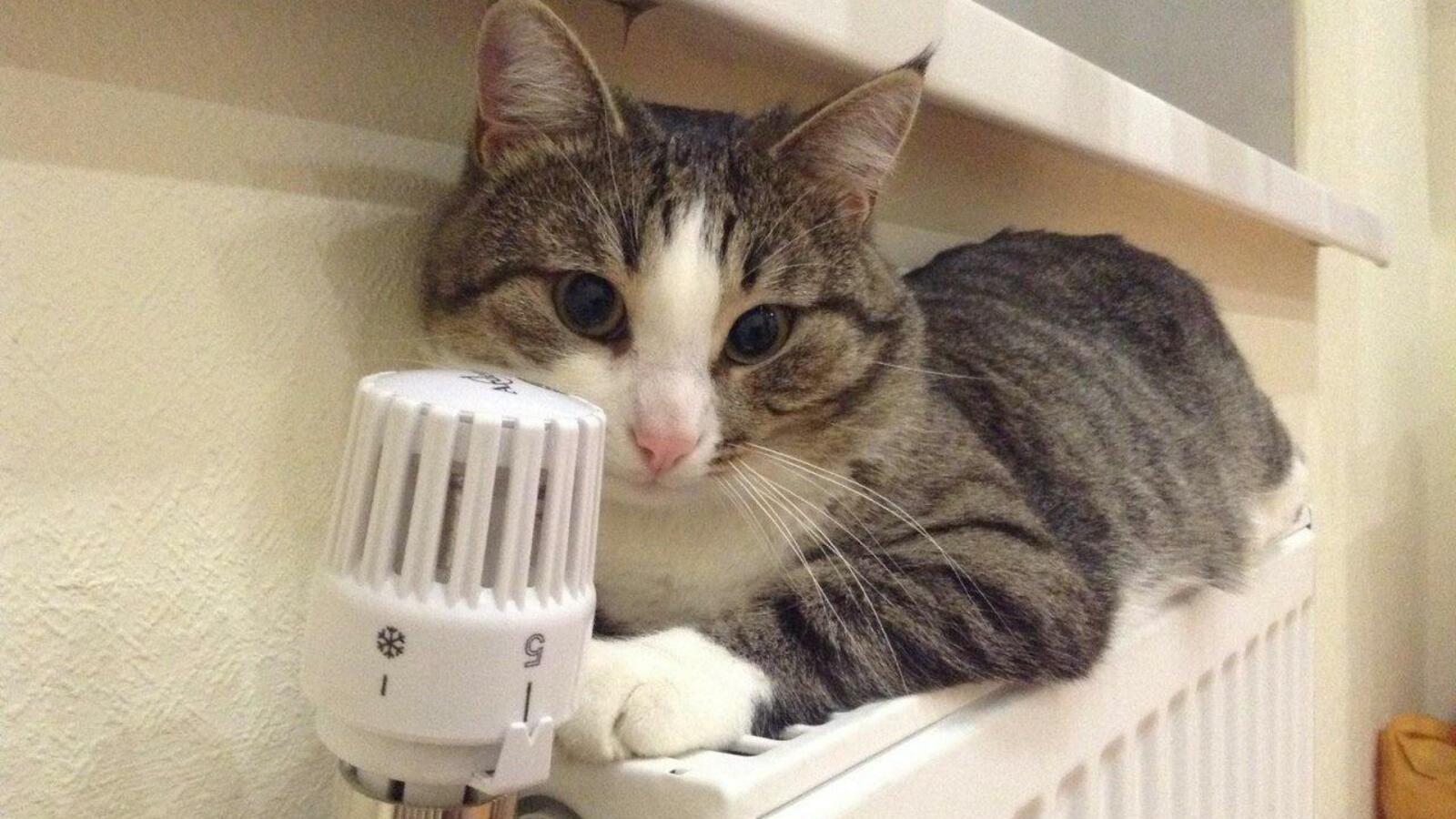 ИА «Башинформ»