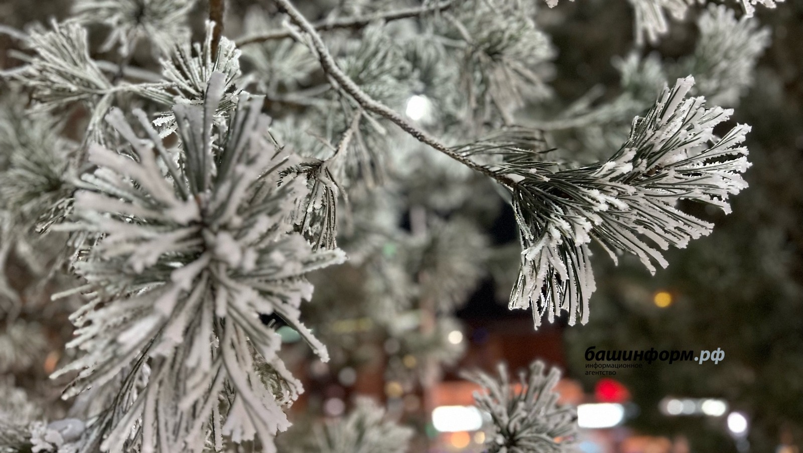 Ксения Калинина  ИА Башинформ