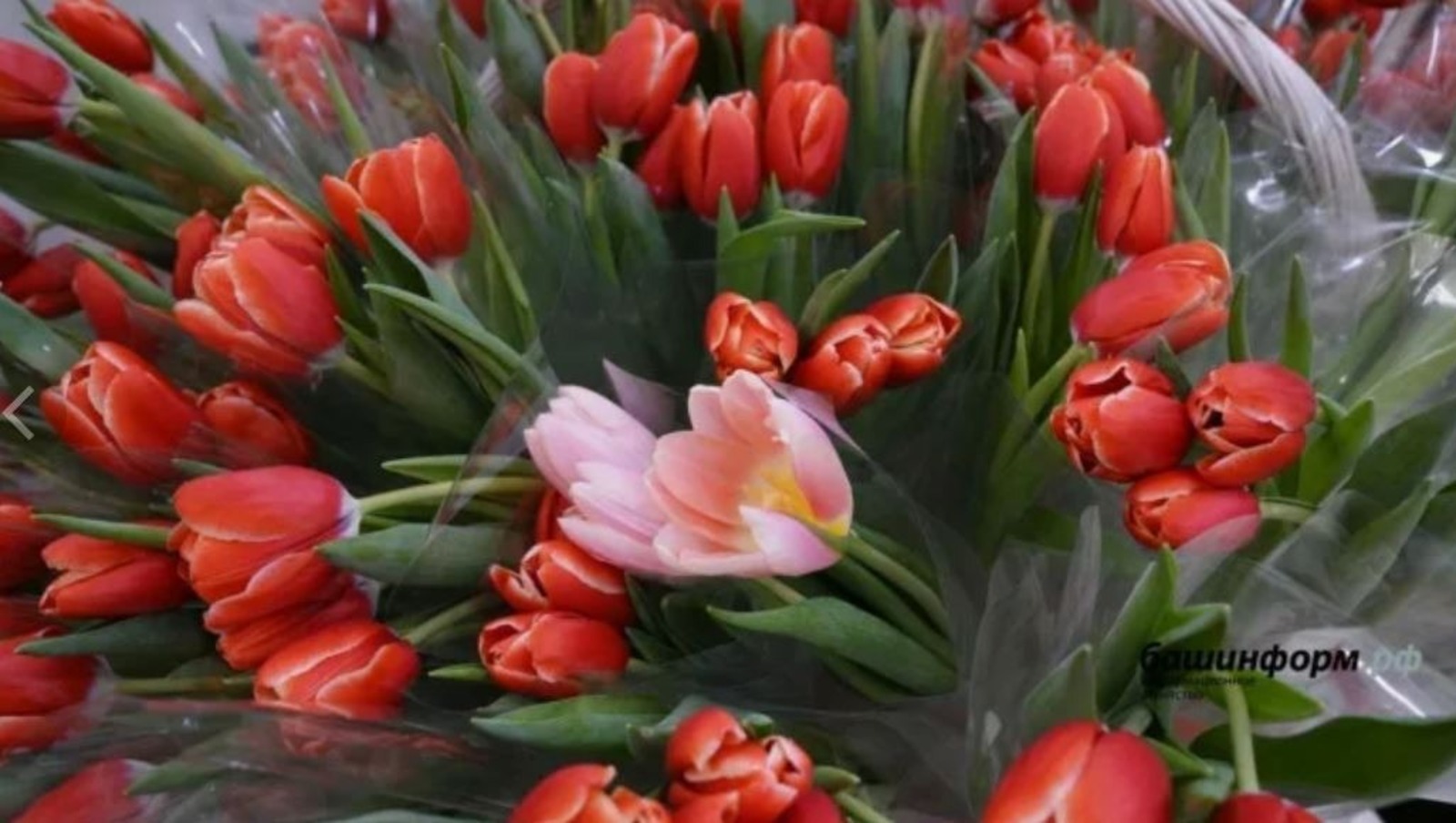 архив ИА Башинформ