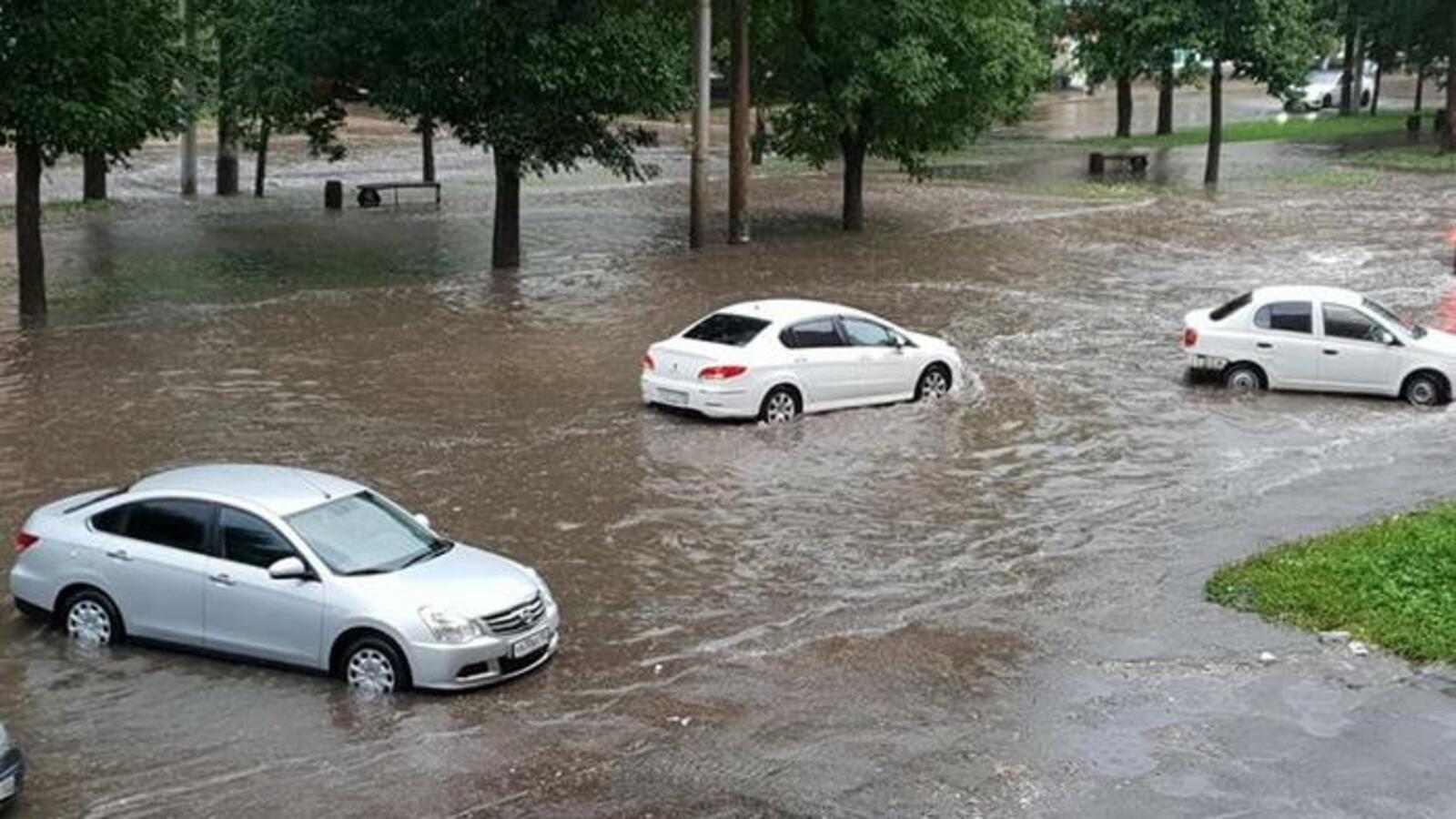 соцсети и автор