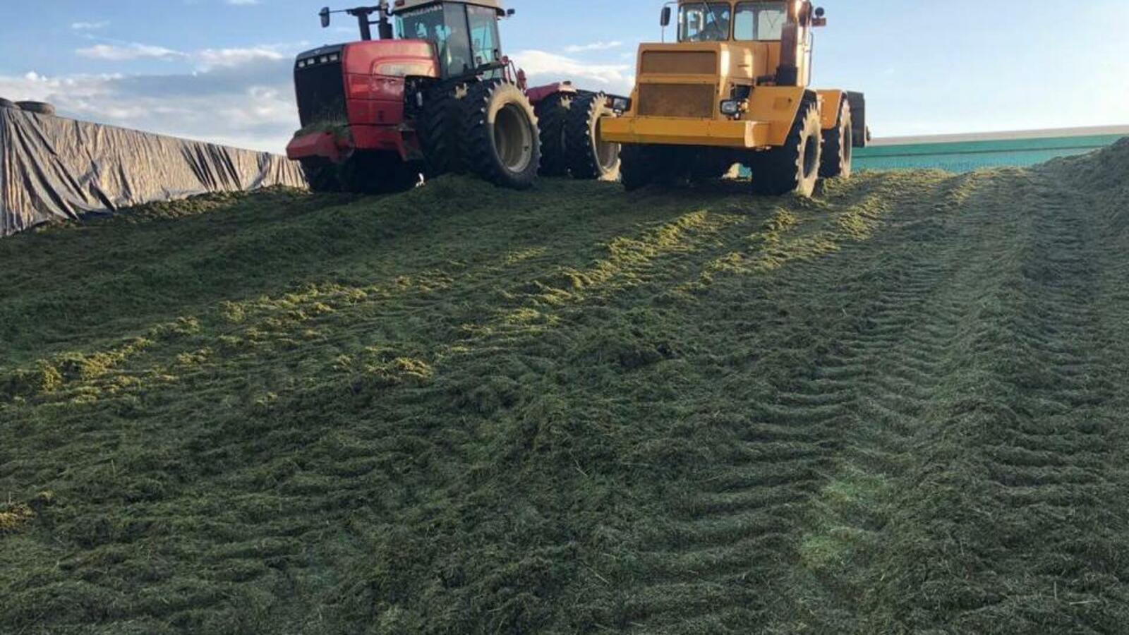 Минсельхоз РБ