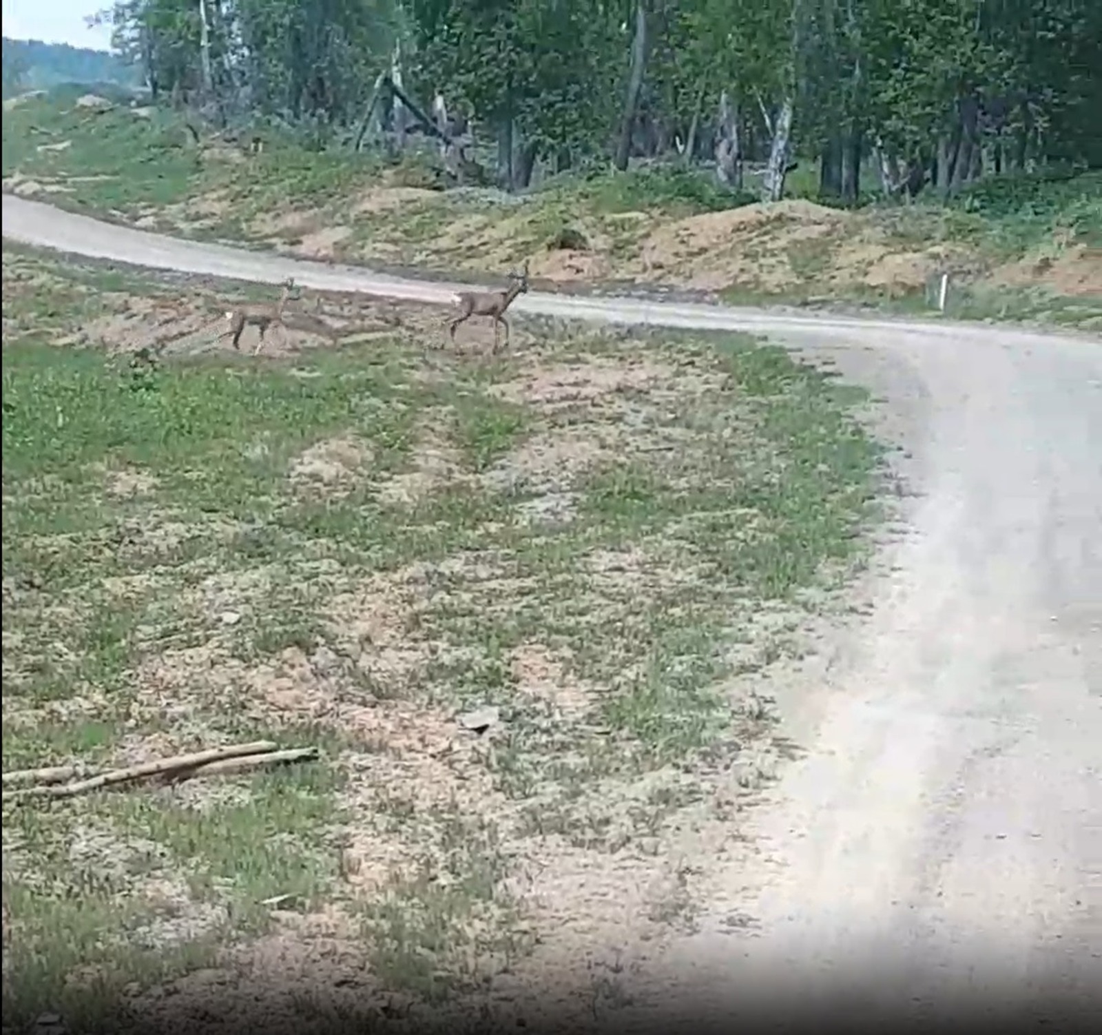 скриншот видео