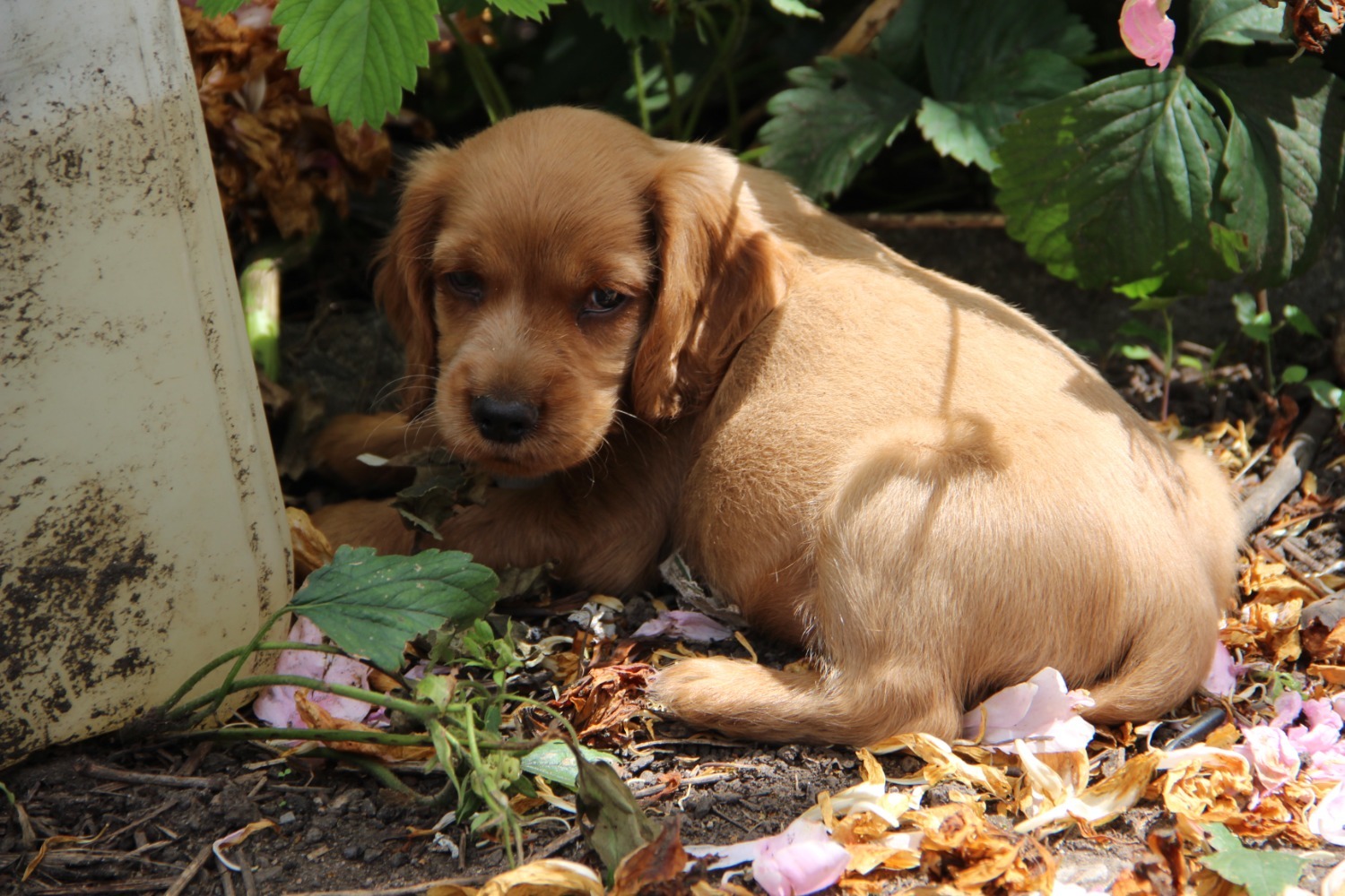 Эдуард Кускарбеков