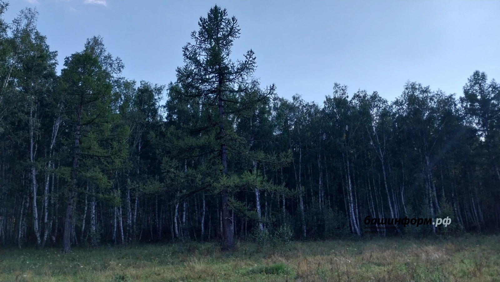 ИА «Башинформ»