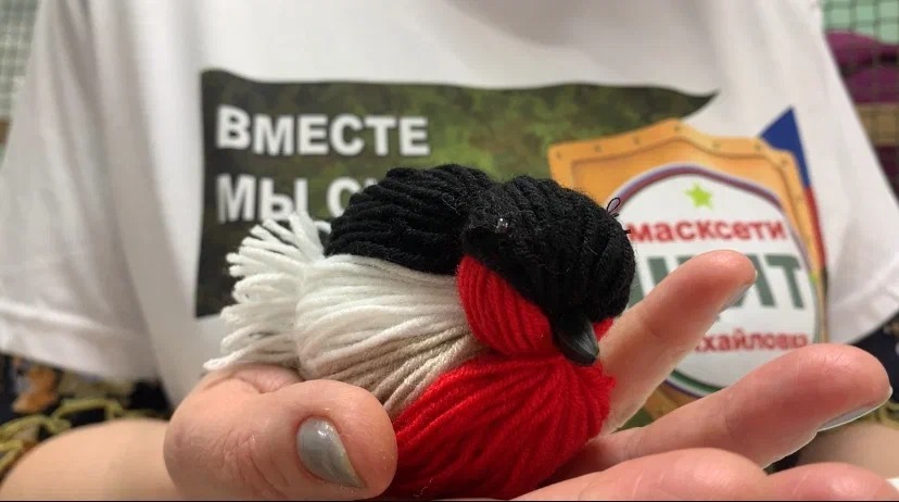 Общественная организация Народный фронт РБ