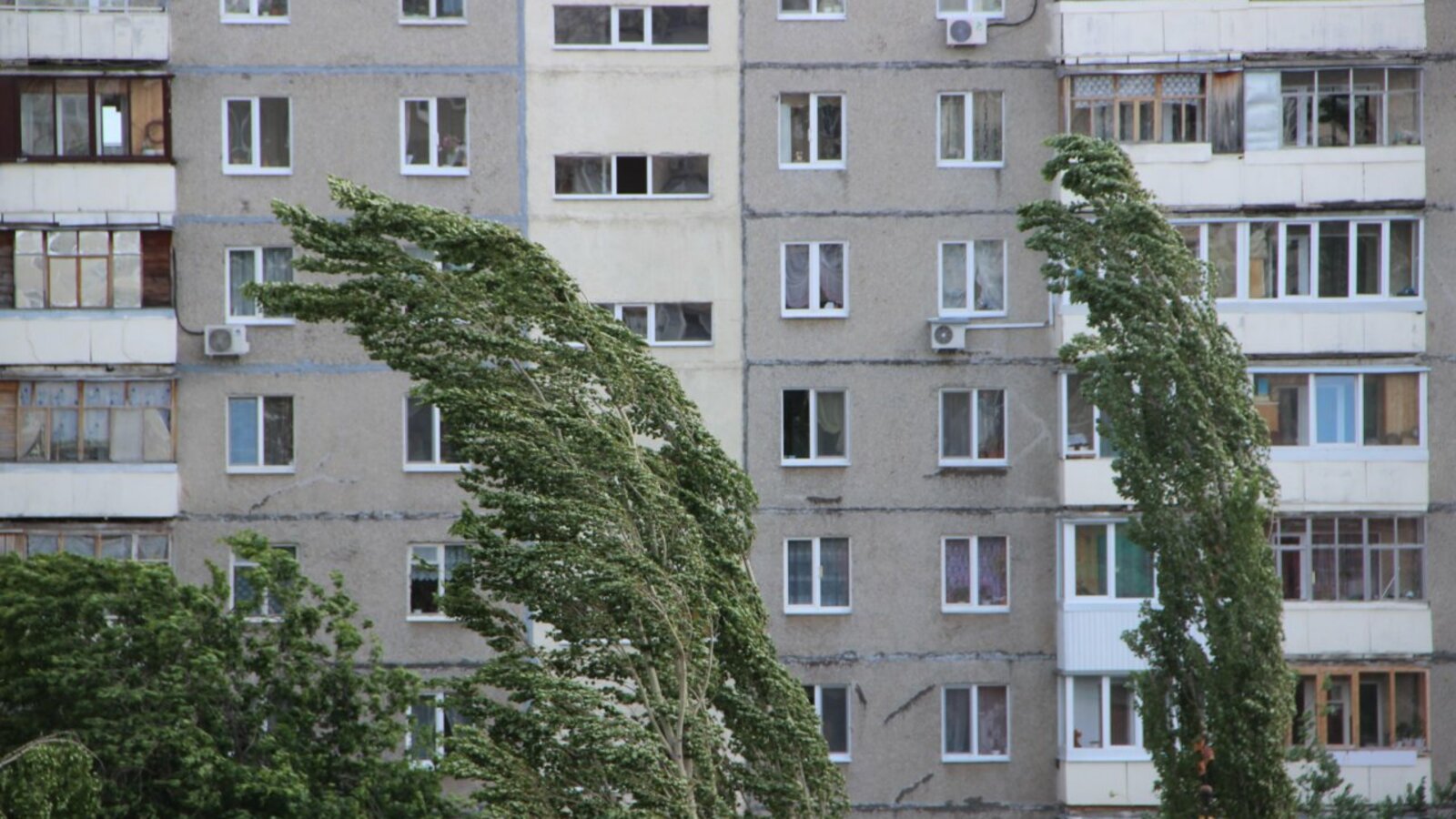 Ксения Калинина