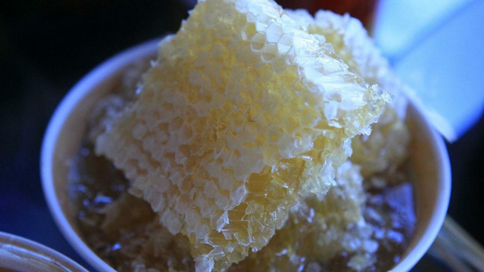 Андрей Старостин