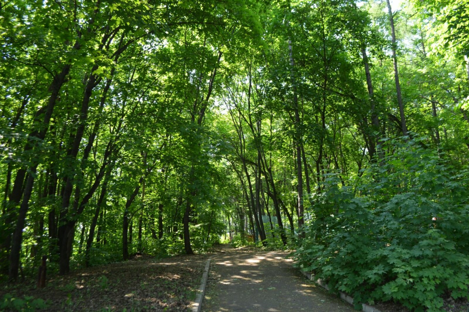 Ксения Калинина