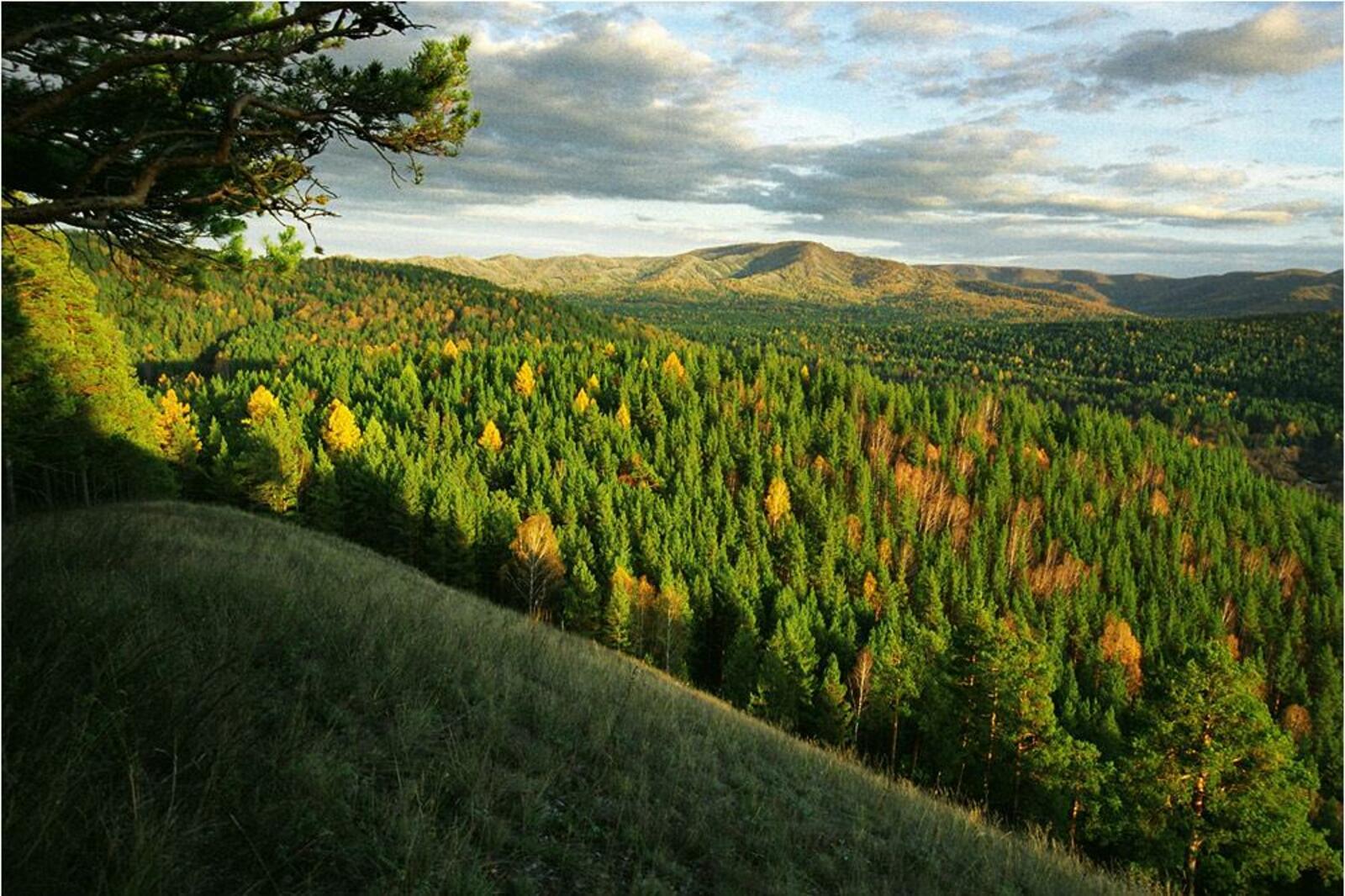 Степанов