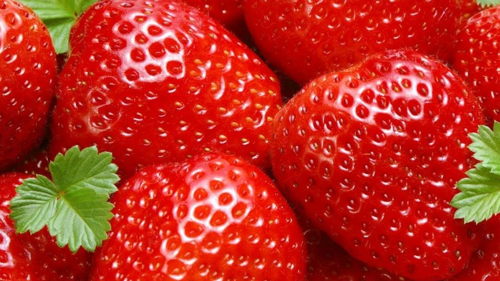 Из открытых источников