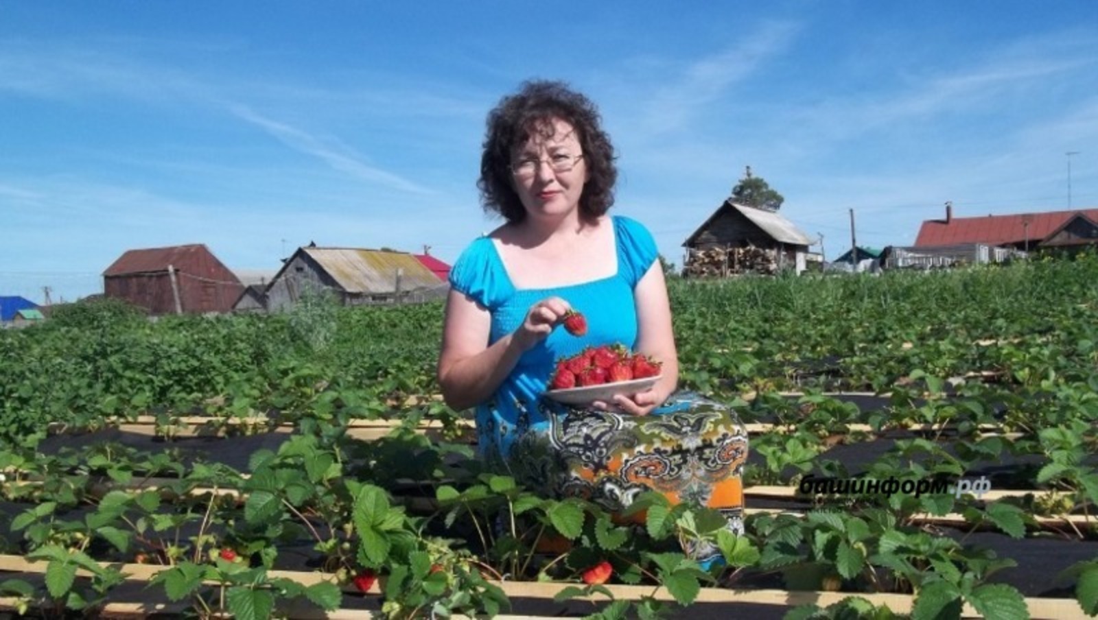 Жительница Башкирии поделилась секретами выращивания рекордных урожаев клубники