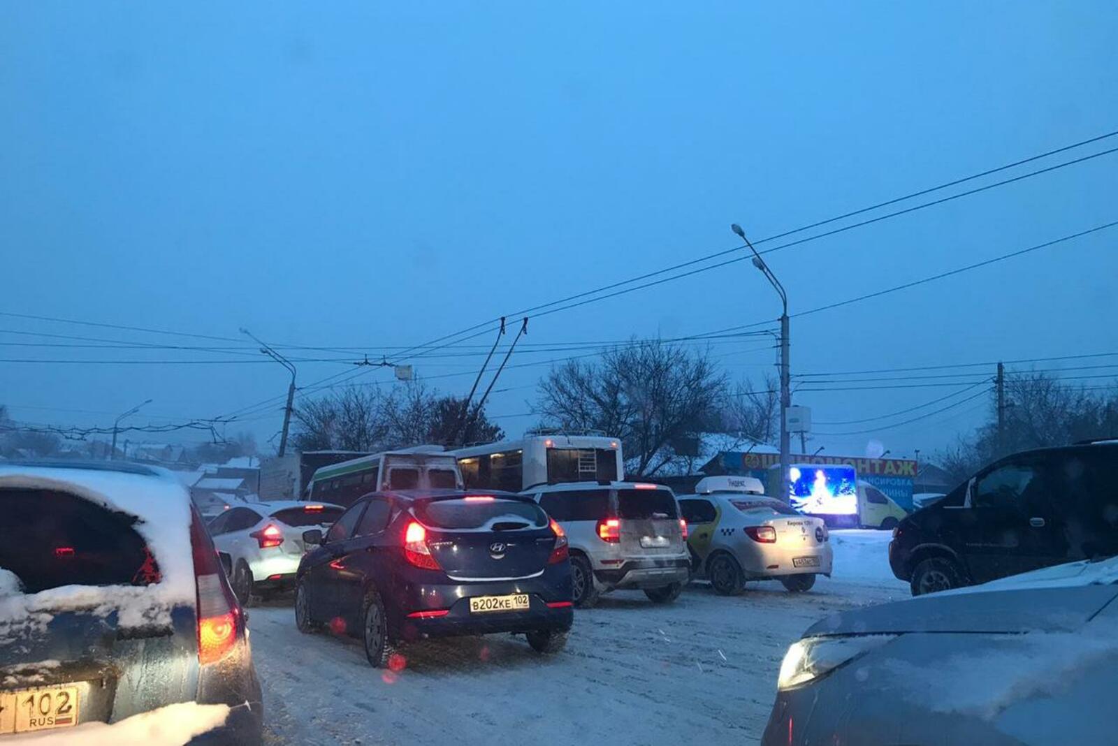 Ксения Калинина