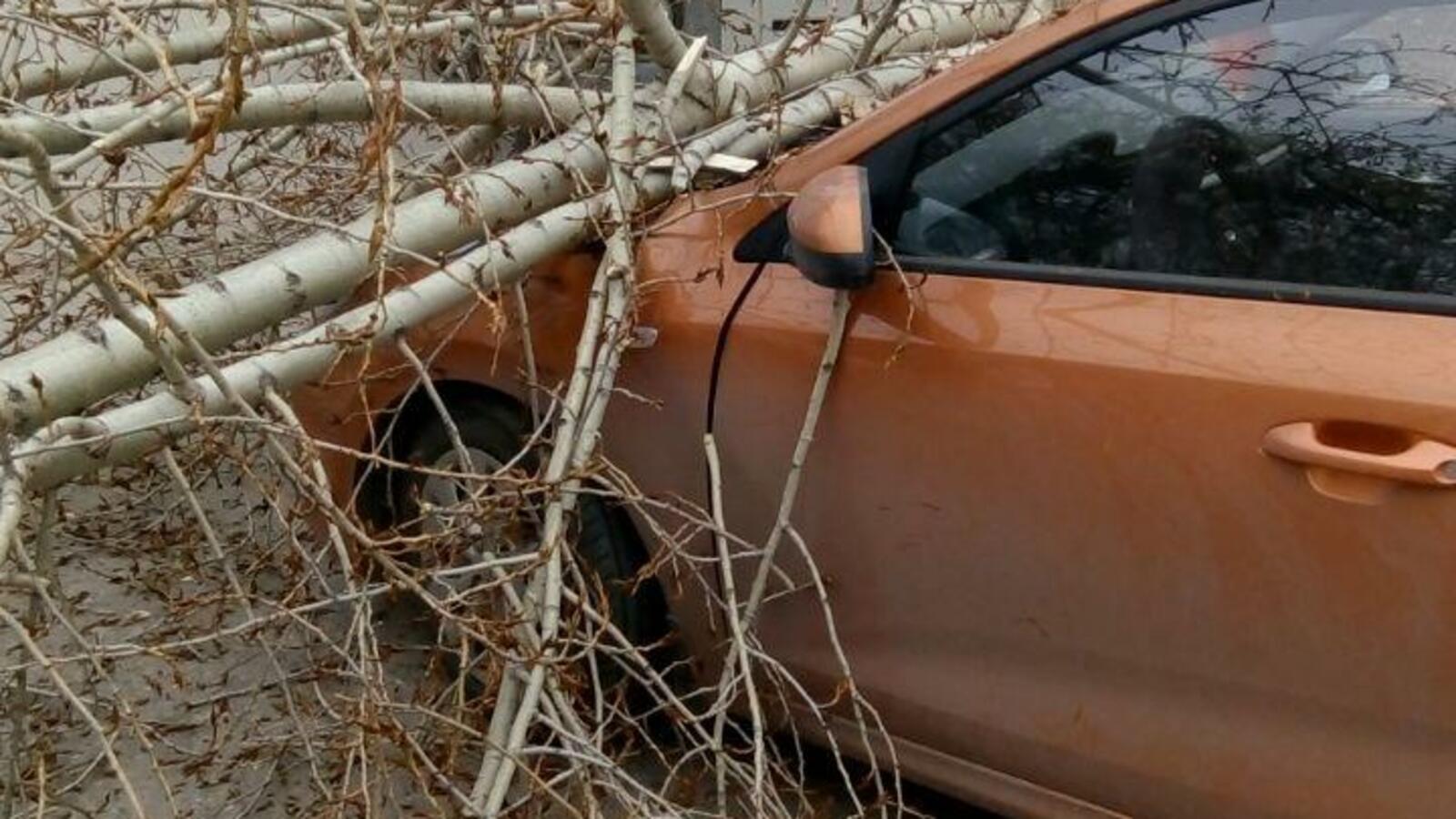 Служба спасения Уфы