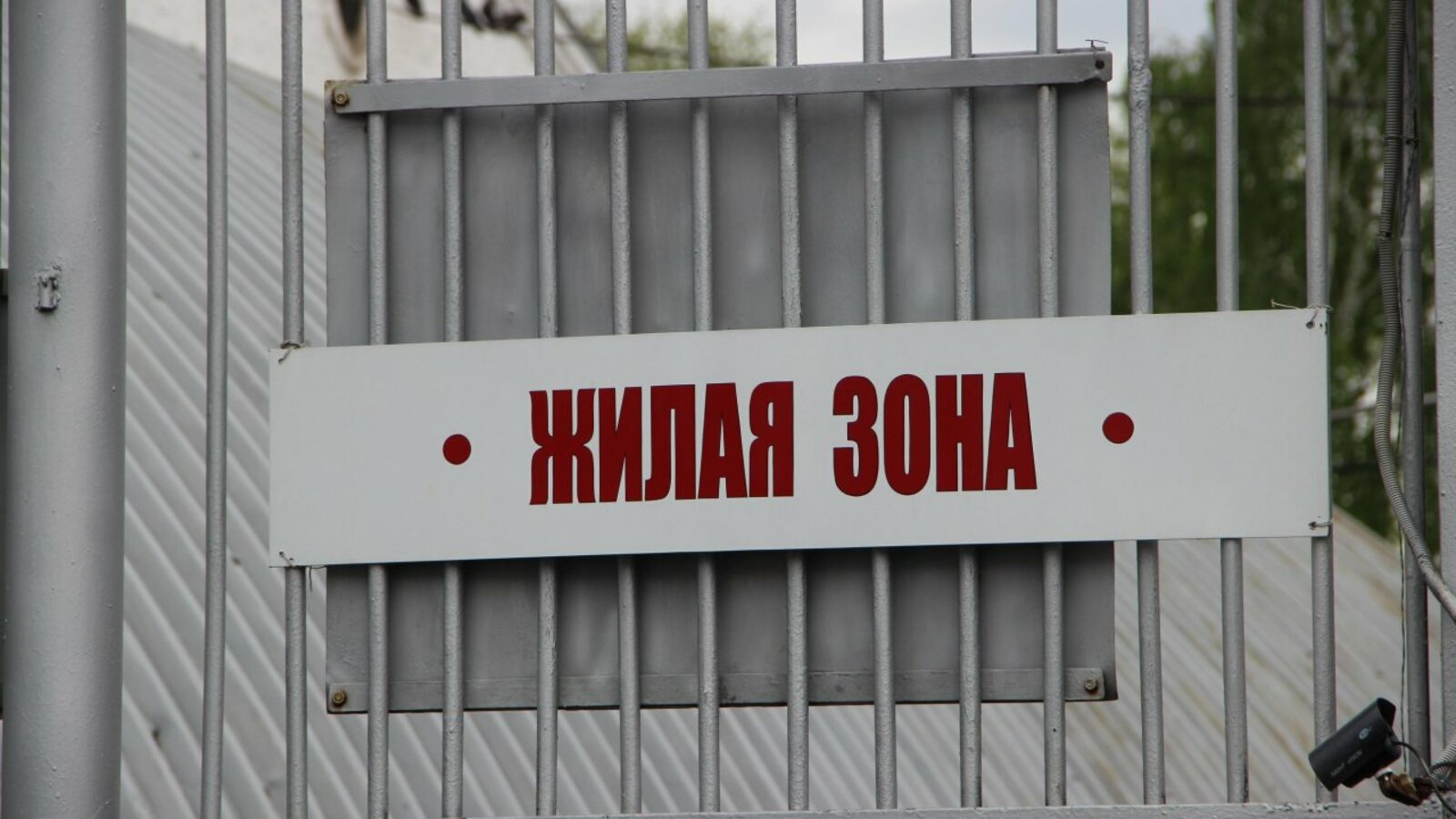 Ксения Калинина