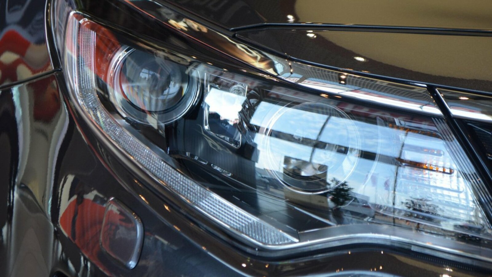 Ксения Калинина