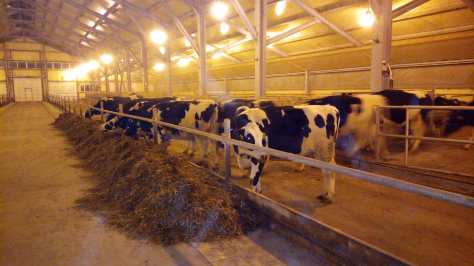 Минсельхоз РБ, архив