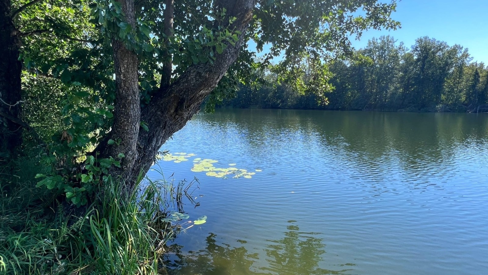 Ксения Калинина