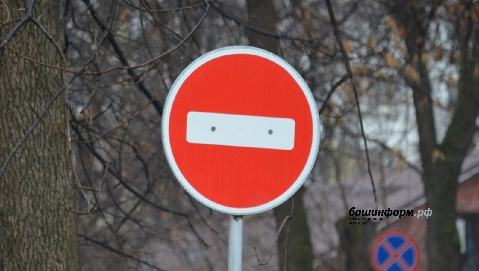 Ксения Калинина  ИА «Башинформ»