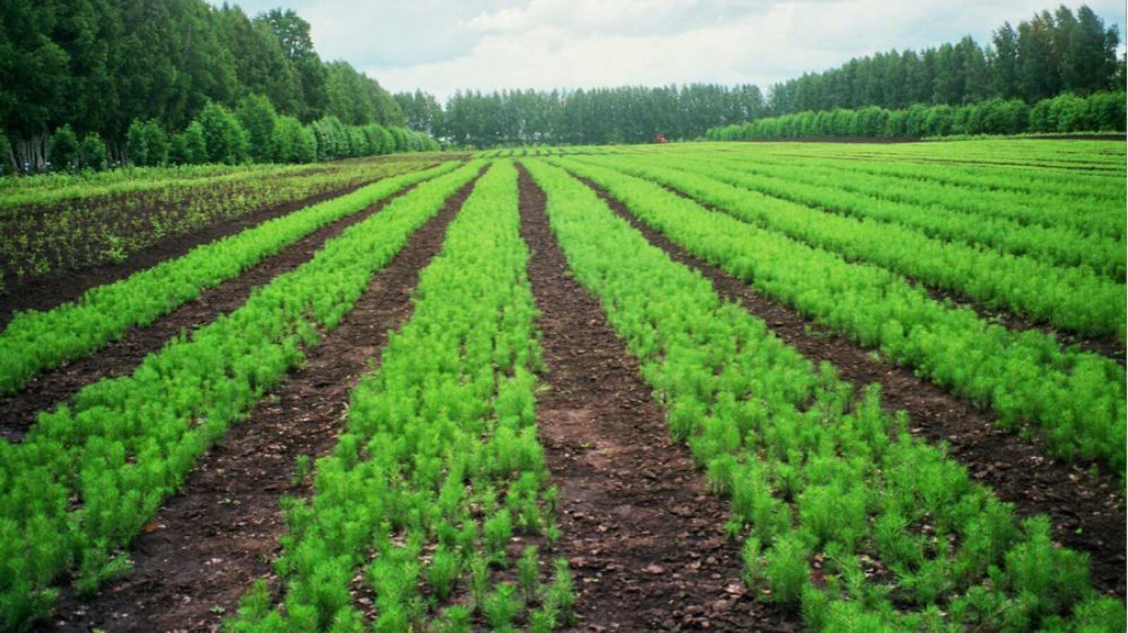 ИА «Башинформ»